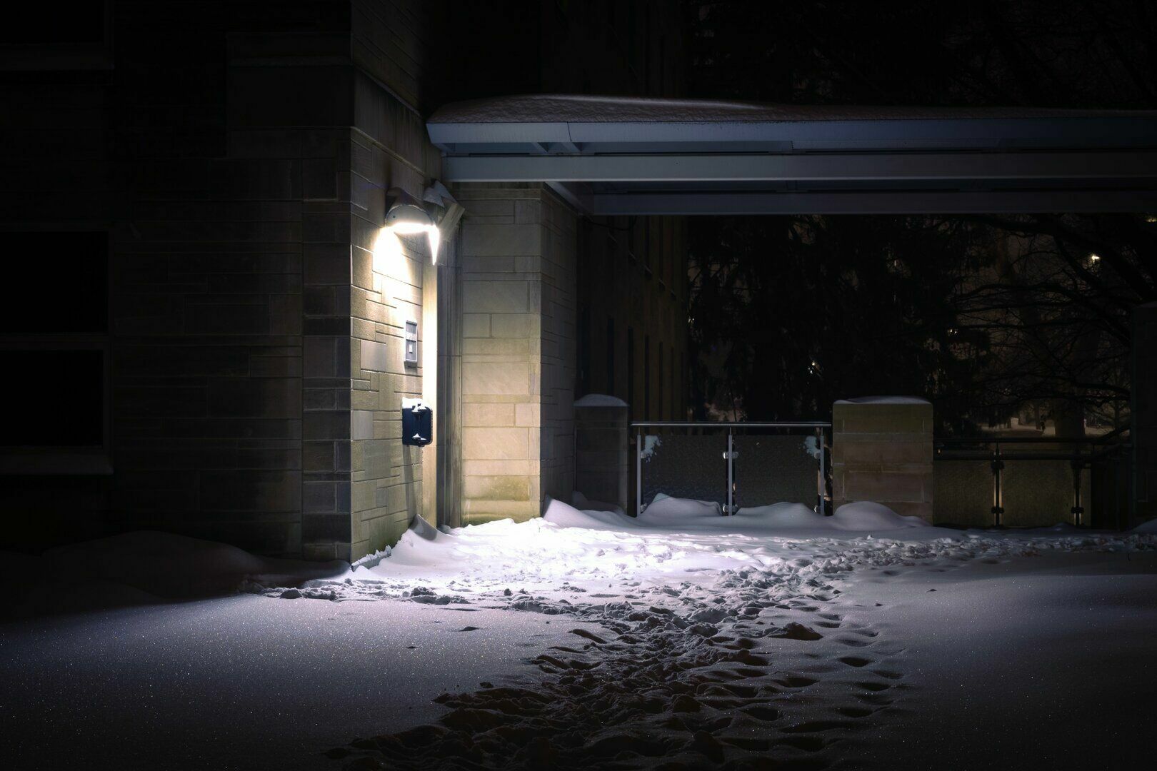 Snow at Night